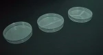 90x15mm Lab Disposable Plastic Petri Dishes