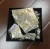 Import 99.995% Bismuth metal ingot price from China