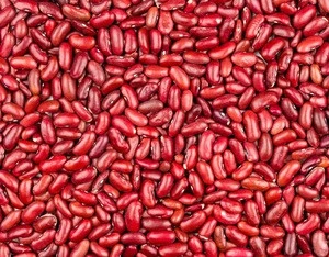 AD Drying Process and Kidney Beans Product Type Red Kidney Bean for sale