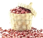 adzuki bean small red bean