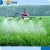 Import Agriculture automatic unmanned pesticide helicopter,helicopter sprayer from China