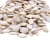 Import all kinds type chinese pumpkin seeds and kernels at the lowest best prices from Canada