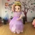 Import Anime costume adult sofia princess mascot costume from China