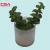 Import Artificial flowers cheap china high quality artificial bonsai from China