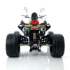ATV 250CC EEC QUAD BIKE, 3 Wheel ATV,4 Stoke Water Cooled,ATV for sale(SHATV-018)