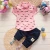 Import Baby Boy Clothing Sets Fashion T-shirt+Solid Pants Set Summer Outfit Toddler For Children from China