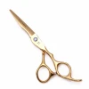 Barber Scissors 5.5 6" JP Steel Hair Cutting Scissors Thinning Shears Professional Hair Scissors Gold A1011