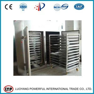 Batch type vegetable and fruit hot air dryer