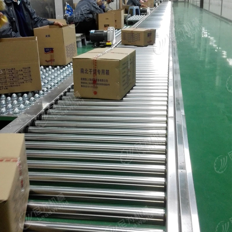 Belt and roller conveyor manufacturer for food industry