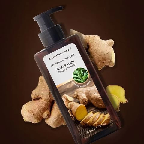 Best Private Label Ginseng Ginger Herbal Formula Hair Loss Treatment Shampoo Natural Organic Scalp Care Anti Hair Loss Shampoo