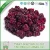 Import Best quality Cheapest cranberry freeze dried fruit from China