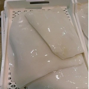Best Quality Frozen Giant Squid fillet/IQF /SKIN OUT