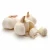 Import Brazil  fresh pure white garlic from Brazil