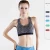 Import Breathable Quick Dry Elastic Shockproof Yoga Women Fitness Sports Bra from China