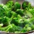 Import BROCCOLI FRESH BROCCOLI EXPORT STANDARD PRICE FOR SALE HIGH QUALITY WITH BEST PRICE from Brazil