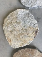 Brown Limestone Landscaping Stepping Stone/Natural Stone Paving