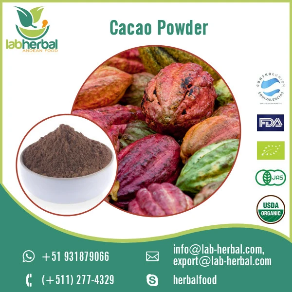 Bulk Supplier Organic Cacao Powder