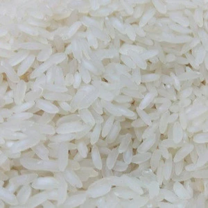Cheap Price Baldo Rice
