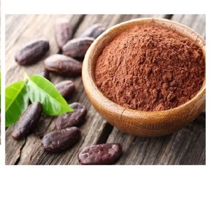 Cheaper price Raw Cocoa Powder from Vietnam Malaysia