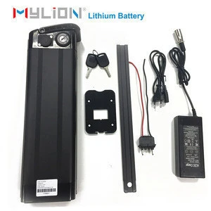 China Factory Hot Sales Customized all kinds of electric bicycle battery