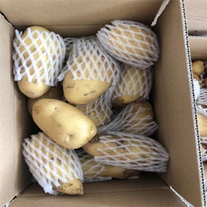 China fresh potato