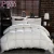 Import China Manufacturer Natural Comfort Down Feather Filled Comforter Duvet Goose from China