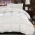 Import China Manufacturer Natural Comfort Down Feather Filled Comforter Duvet Goose from China