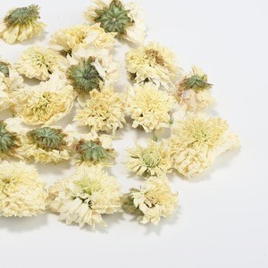 Chinese 100% natural blooming dry chrysanthemum flower  good for eye herbal tea