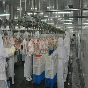 Chinese brand poultry meat plucking machines processing plant