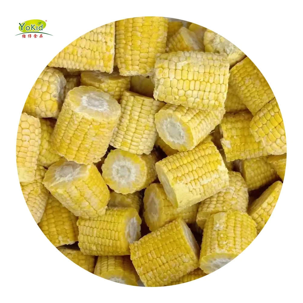 Chinese Grade A Bulk Super Sweet Corn Common Yellow Corn Maize