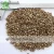 Import Chinese Hemp seeds High Quality Hemp seeds from China