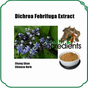Chinese Herbal Extract Anti-malarial Dichroa febrifuga extract