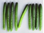 Chinese Multifunction ozone Fruit and Vegetable Washer/Washing Machine