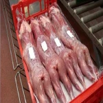 Clean Frozen Whole Rabbit Meat