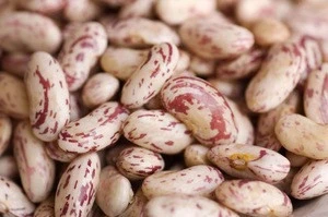 Cranberry beans in can - 24 x 400 grams