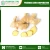 Import Custom Packaging Pure and Fresh Dried Ginger at Best Price from India