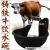 Import Customized farm cast iron Animal Drinkers from China