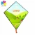 Import Customized Promotional Diamond Kite from China
