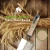 Import #Cyrus Hot Sale Durable,   Wheat Straw Handle Carbon Steel Gardening Tools Gift Set/ from China