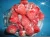 Import Dandong Frozen Fruit IQF Strawberry from China