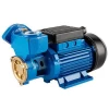 DB series Peripheral Pumps PM electric motor pressure booster pump with brass/stainless steel impeller