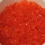 Import Delicious Red Salmon Roe for sale from South Africa