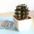 Import Desk decoration mini size artificial Tropical plants plants from China