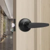 Door Lever Non-Locking Handle Hallway Closet Lounge Living Room Black Keyless Passage Lock