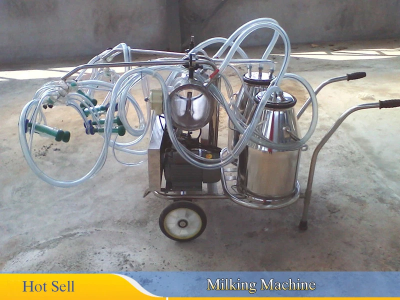 double bucket vacuum milking machine portable milking machine with 20L stainless steel milking bucket
