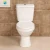 Import Dual Flush Water Saving 2 Piece Toilet  Henan Medium Size Bathroom Ceramic WC Sanitary Ware from China
