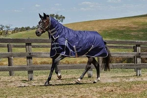 Equestrian Waterproof Horse Winter Blanket/Turnout Rug With Neck Combo - 600 Denier