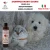 Import Extra white coat shampoo for dogs and cats ml.250 - Mma Pets from Italy