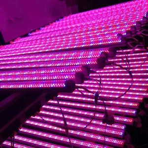 Factory Direct Wholesale  Greenhouse Plant Lamp Weatherproof T8 Full Spectrum Led Grow Light