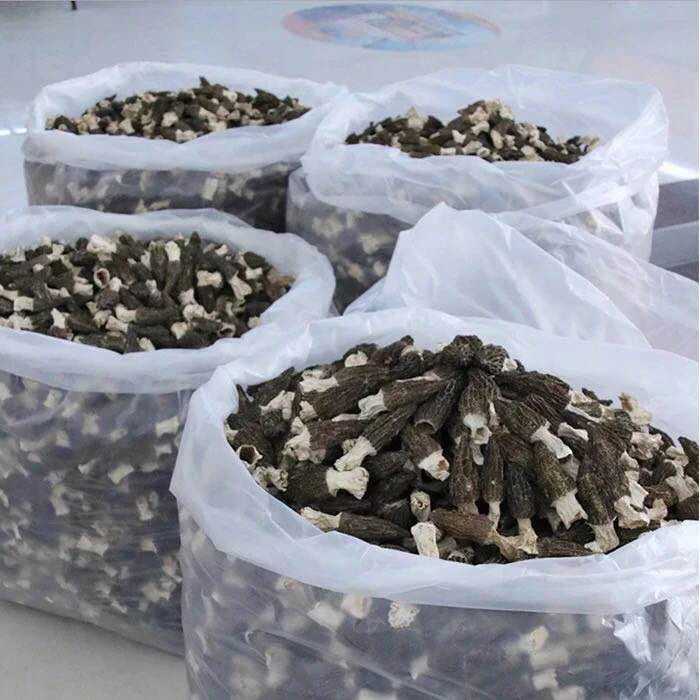 Factory Price Dried Black Morel Mushroom Price Dried Morel Mushroom Price